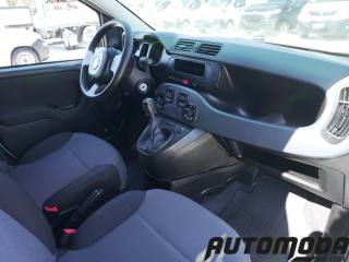 FIAT Panda usata 10