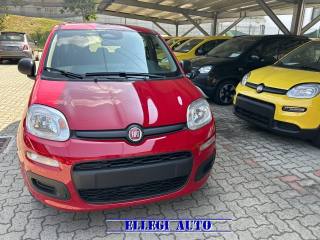 FIAT Panda 1.0 HYBRID 5 POSTI +PACK CITY KM 0