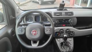 FIAT New Panda usata, con Controllo trazione