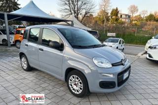FIAT Panda usata 13