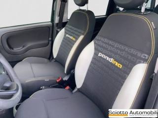 FIAT Panda usata, con Cruise Control