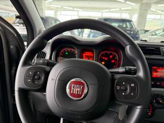 FIAT Panda usata 11