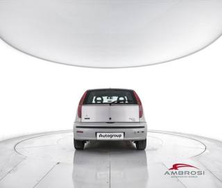 FIAT Punto usata 5