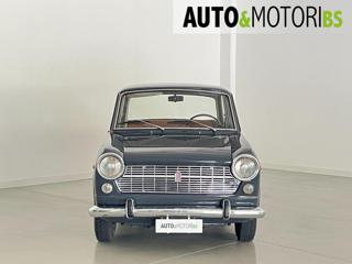 FIAT 1100 usata, con Interni in pelle
