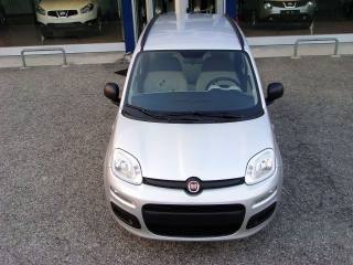 FIAT Panda usata 34