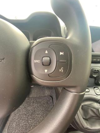 FIAT Panda Cross usata, con Vivavoce