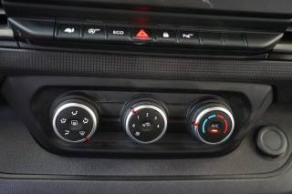 RENAULT Trafic usata, con Autoradio digitale