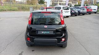 FIAT Panda usata, con Antifurto