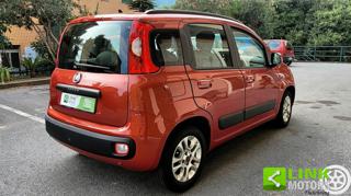 FIAT Panda usata 2