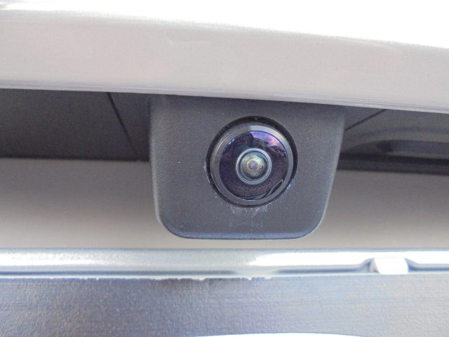 FIAT 600 usata, con Bracciolo