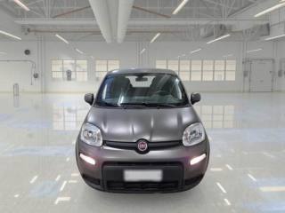 FIAT Panda usata, con Antifurto
