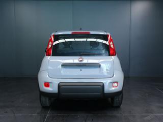 FIAT Panda usata, con Alzacristalli elettrici
