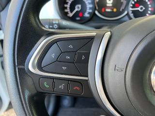 FIAT 500L usata 21