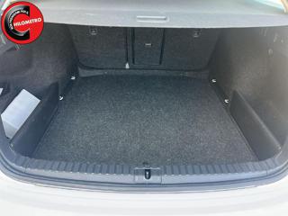 SKODA Octavia usata, con Fendinebbia