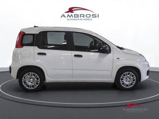 FIAT Panda usata 3