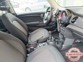 MINI One usata, con Cronologia tagliandi