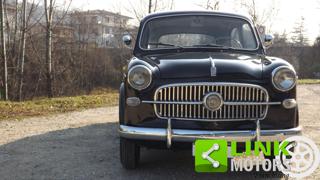 FIAT 1100 usata 21