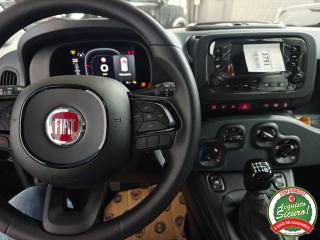 FIAT Pandina usata, con ESP