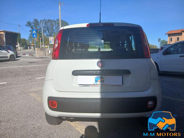 FIAT Panda usata 16