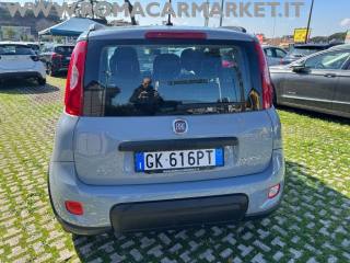 FIAT Panda usata, con Airbag Passeggero