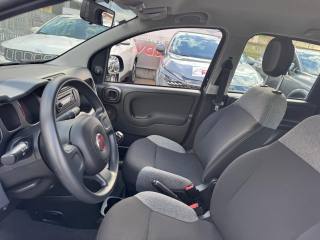 FIAT Panda usata, con Controllo trazione