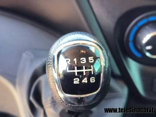 IVECO  usata 16