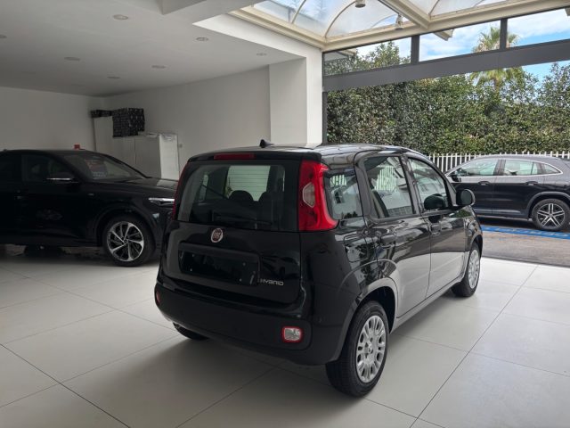 FIAT Panda usata, con Cronologia tagliandi