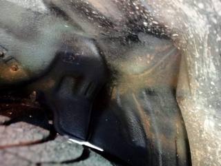 SUZUKI Jimny usata, con Specchietti laterali elettrici