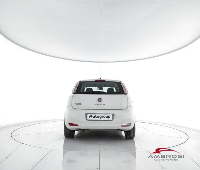 FIAT Punto usata 5
