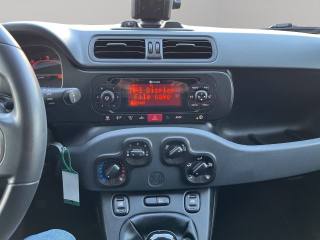 FIAT Panda usata 12