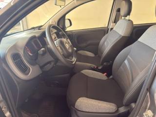 FIAT Panda usata 14