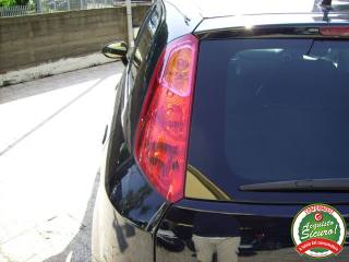 FIAT Punto usata 31