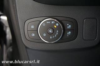 FORD Puma usata, con Riconoscimento dei segnali stradali