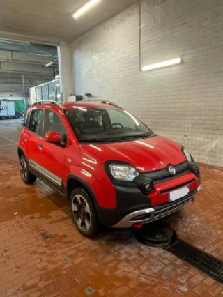 FIAT Panda Cross usata, con Immobilizzatore elettronico