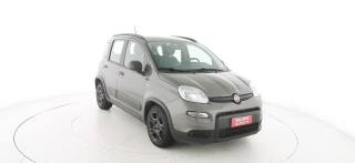 FIAT Panda usata 22