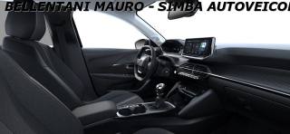 PEUGEOT 208 usata, con Cruise Control