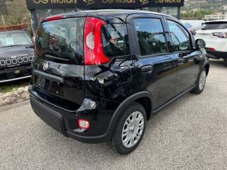 FIAT Panda usata, con Servosterzo