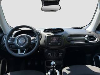 JEEP Renegade usata 11