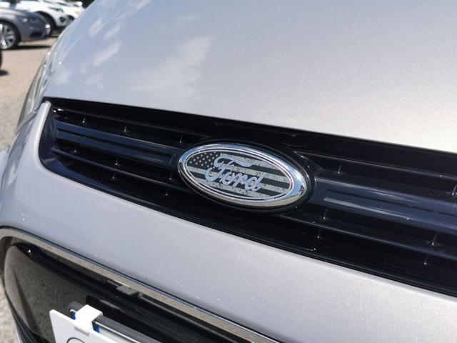 FORD S-Max usata, con Filtro antiparticolato