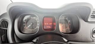 FIAT Panda usata, con Cronologia tagliandi