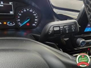 FORD Fiesta usata 18