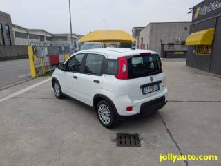 FIAT Panda usata, con Bluetooth