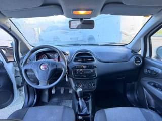 FIAT Punto usata 14
