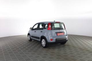 FIAT Panda usata 5