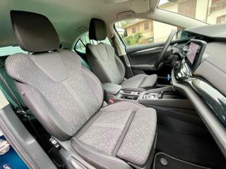 SKODA Octavia usata, con Fendinebbia