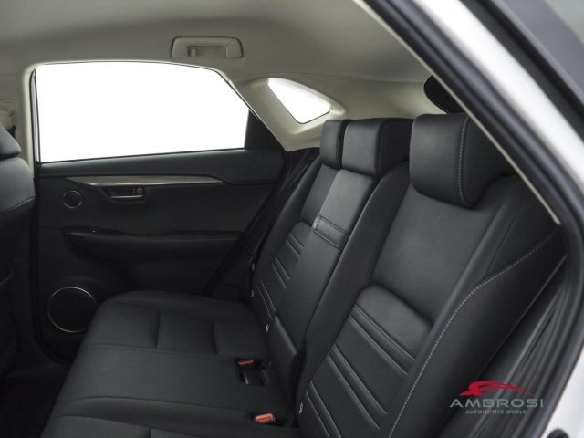 LEXUS NX 300h usata 9