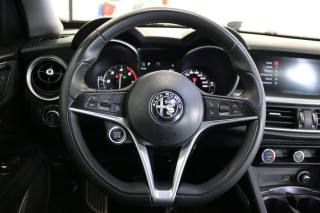 ALFA ROMEO Stelvio usata, con Park Distance Control