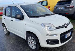 FIAT Panda usata 18