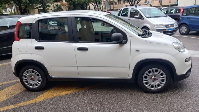 FIAT Panda usata, con Alzacristalli elettrici