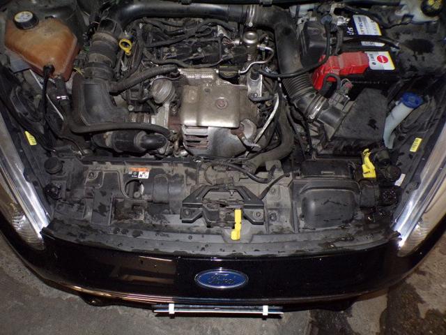 FORD Fiesta usata 92
